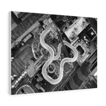 Load image into Gallery viewer, Black and White Photography Wall Art Print Water park Wildwood NJ